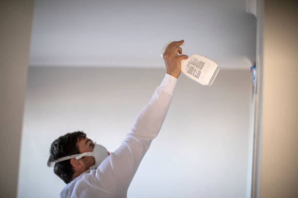 Trusted New Hyde Park, NY Mold Remediation Experts